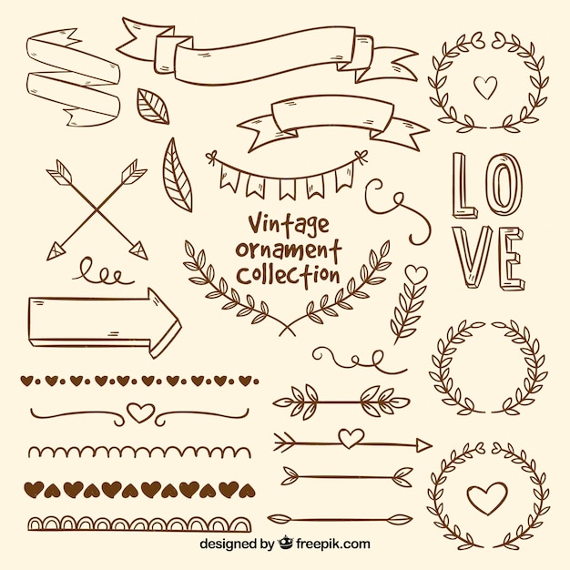 Free vector ornaments collection in vintage style