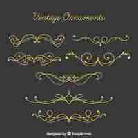 Vettore gratuito collezione di ornamenti in stile vintage