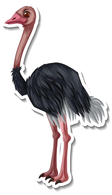 Free vector ostrich bird animal cartoon sticker