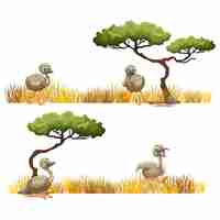 Free vector ostrich designs collection