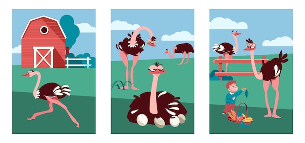 Free vector ostrich farm set of three vertical compositions with flat outdoor views of barns people and birds vector illustration