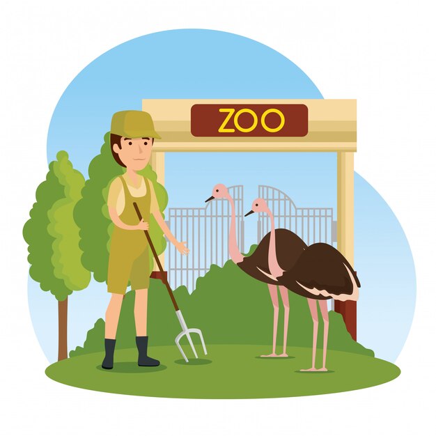 Ostriches wild animal in the zoo with safari man