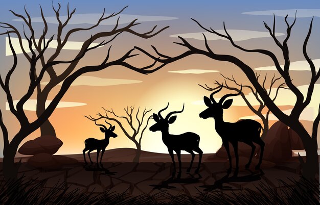 Free vector outdoor nature silhouette sunset scene