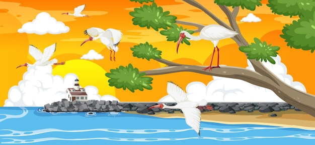 Free vector outdoor scene with american white ibis group