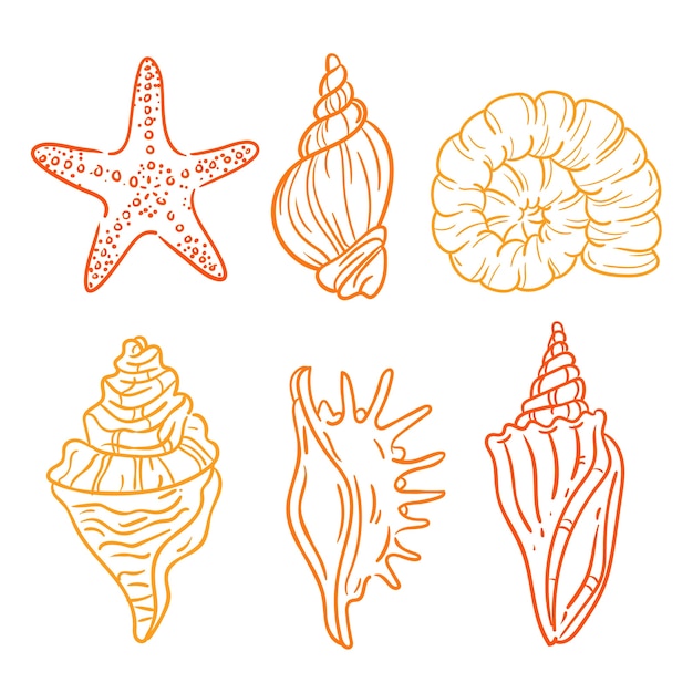 Illustration Seashells Collection