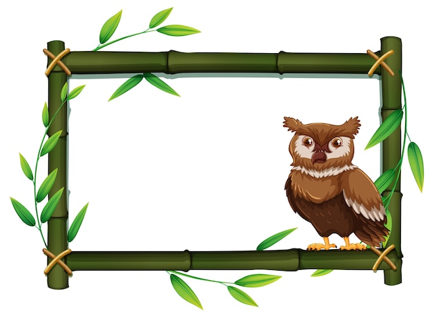 Owl in a bamboo frame