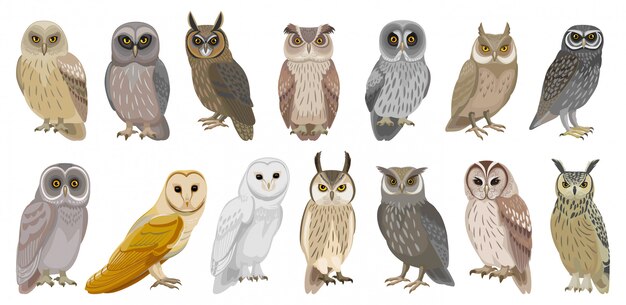 カラフルな漫画面白いフクロウのイラストは 白い背景に設定します 幸せで楽しい鳥がフラットスタイルに設定します プレミアムベクター