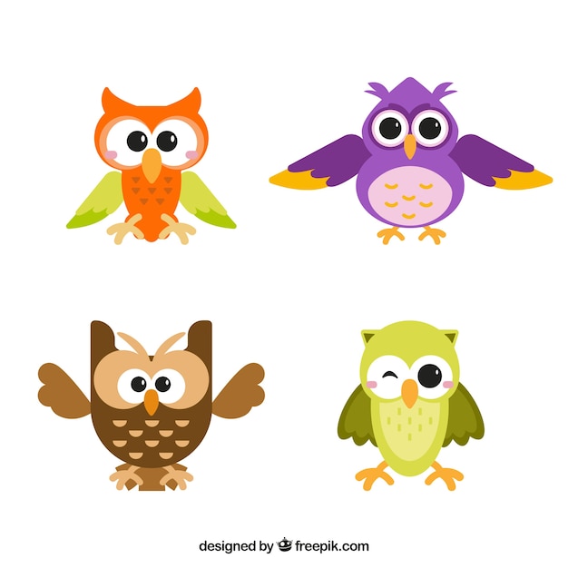 Owl pack in different colors