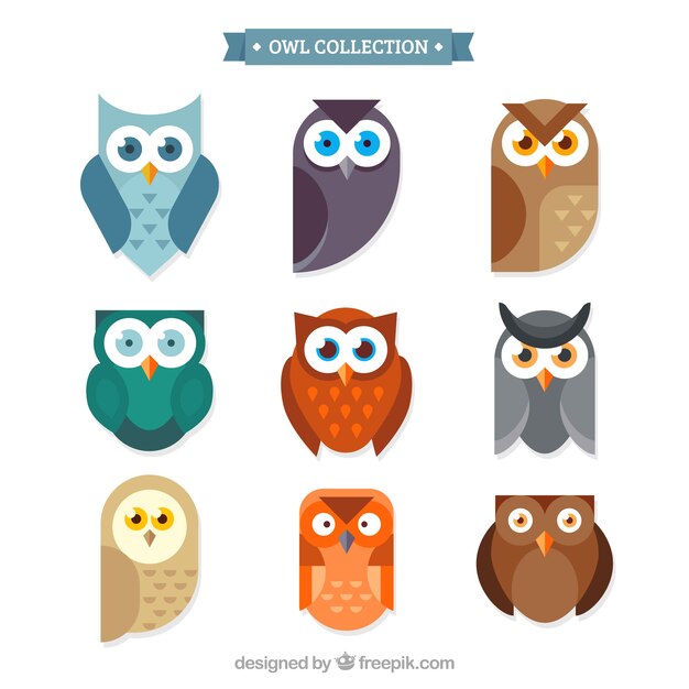 Owl pack of nine