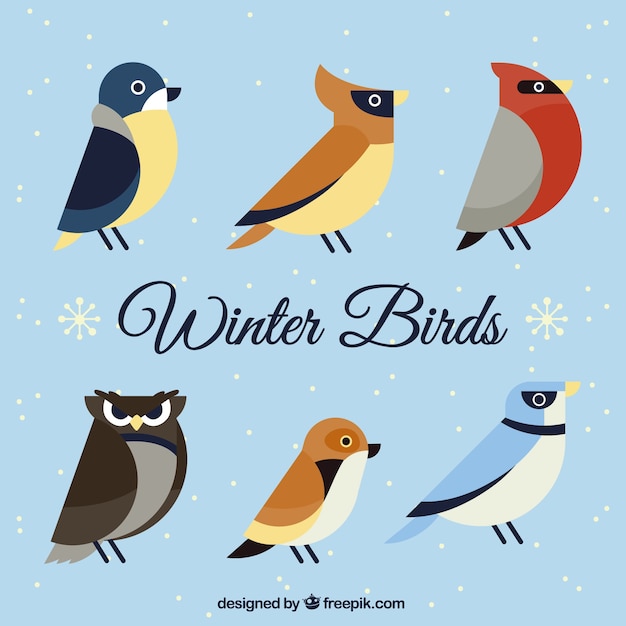 Free vector owl with other birds in flat design