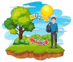 Free vector oxygen cycle diagram for science education