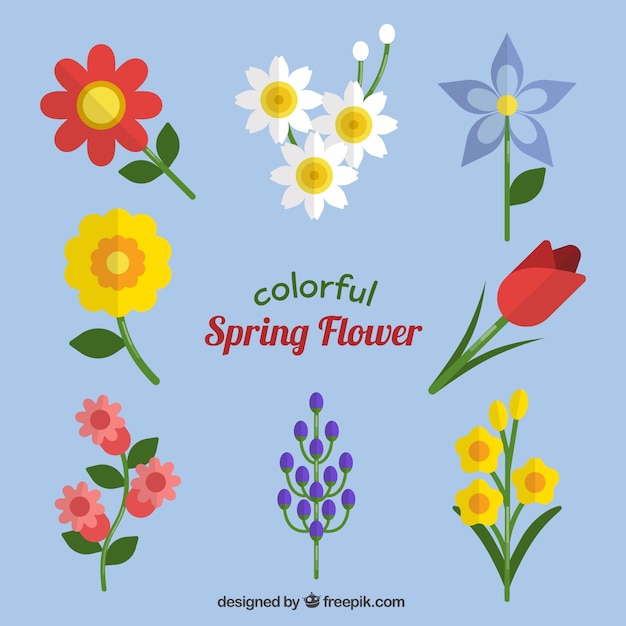 Free vector pack of beautiful flowers for spring