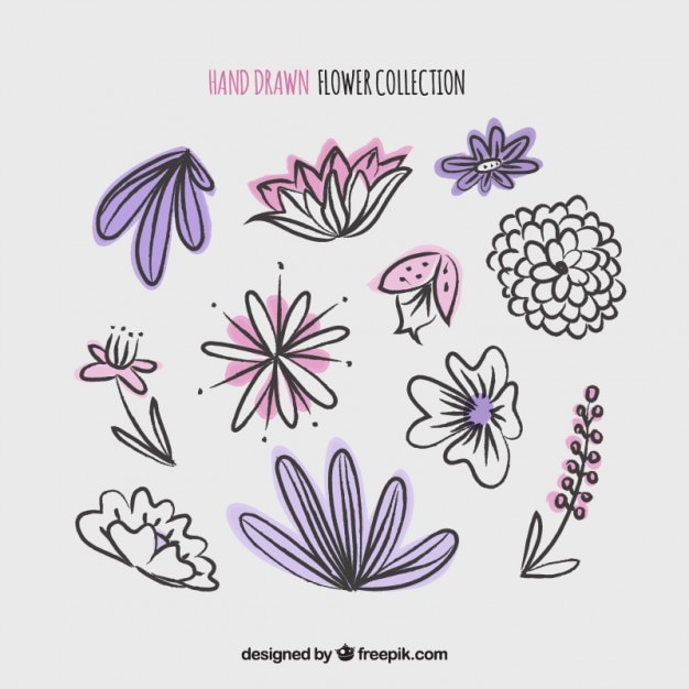 Free Vector pack of beautiful vintage hand drawn flowers