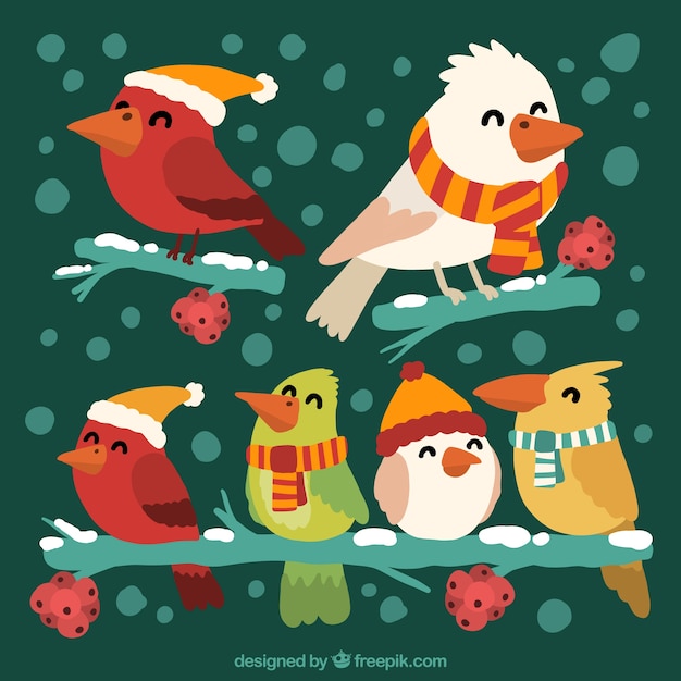 Free vector pack of birds with winter elements