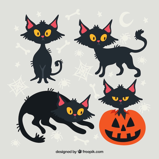 Halloween Black Cat free vector icons designed by Freepik