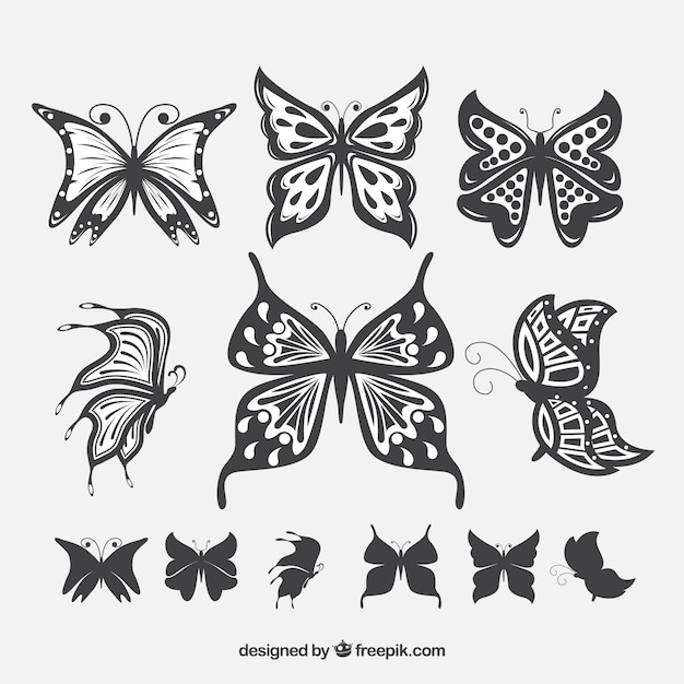 Pack of butterflies with beautiful wings