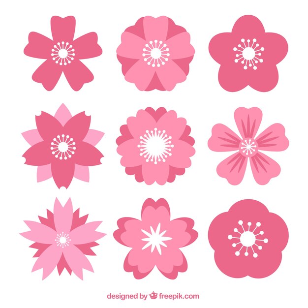 Free Vector pack of cherry blossoms in flat design