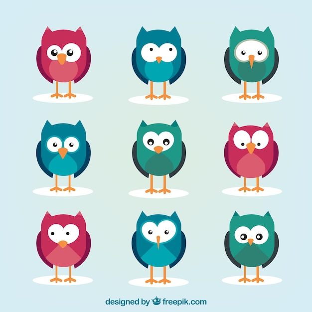 Pack of colored owls with variety of gestures