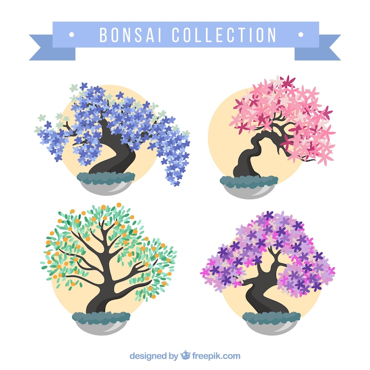Free Vector pack of colorful bonsais