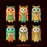 Free vector pack of colorful ethnic owls in flat design