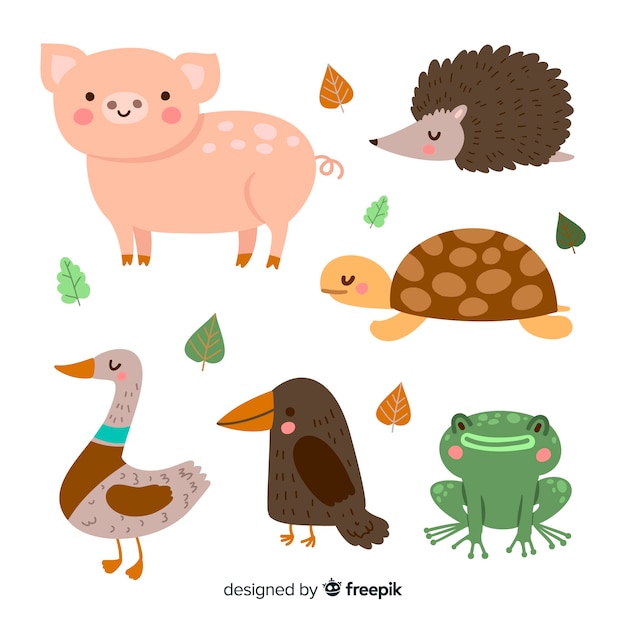 Pack of cute illustrated animals