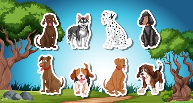 Free vector pack of dog sticks with nature background