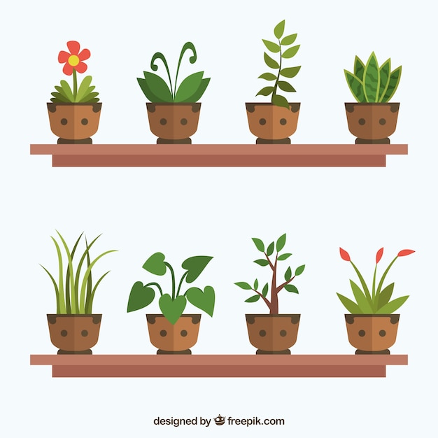 Free vector pack of eigh plants in flat design