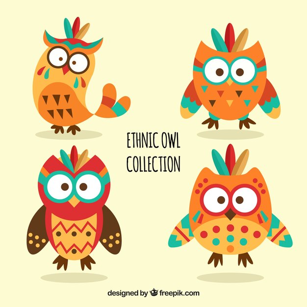 Pack of ethnic owls in flat design