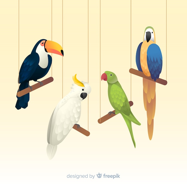 Free vector pack of exotic birds realistic style