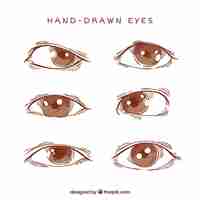 Free vector pack of eyes sketches