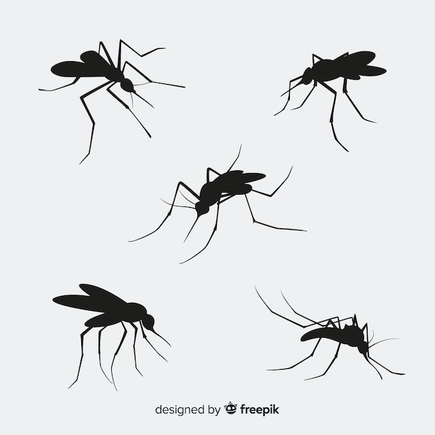 Pack of five mosquito silhouettes