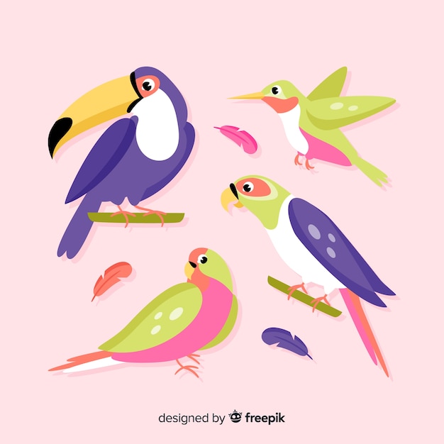 Free Vector pack of flat exotic birds