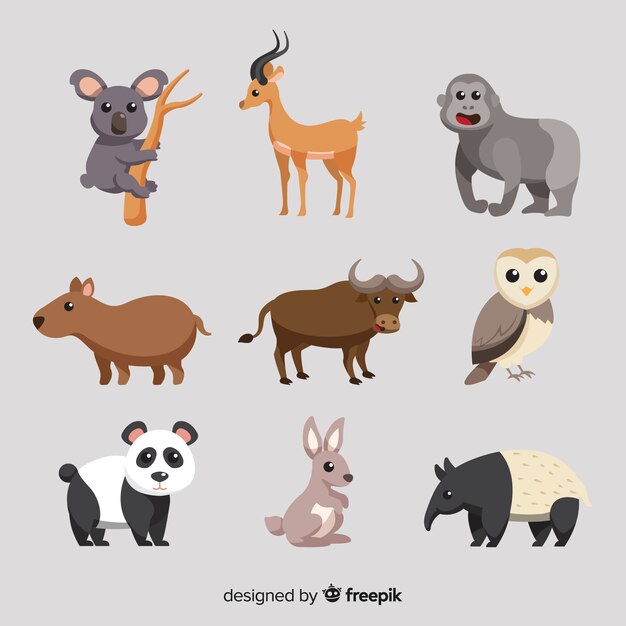 Pack of flat tropical animals