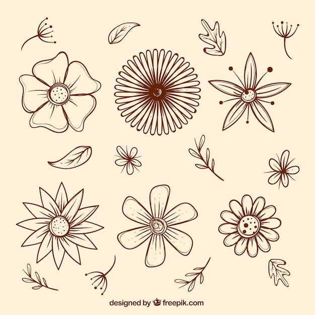 Pack of flower sketches