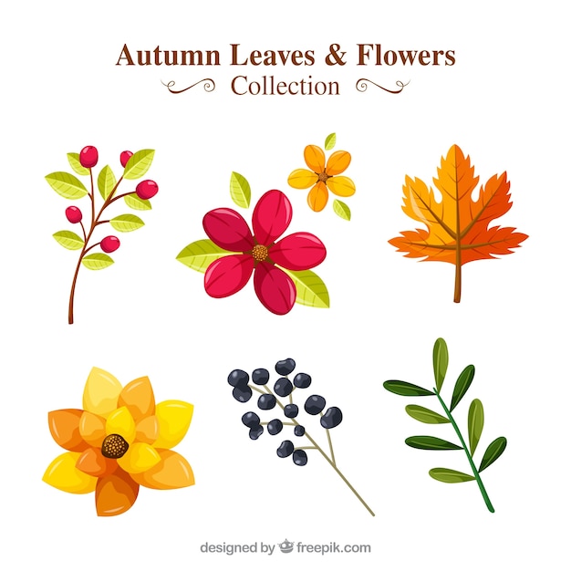 Free vector pack of flowers and autumn plants