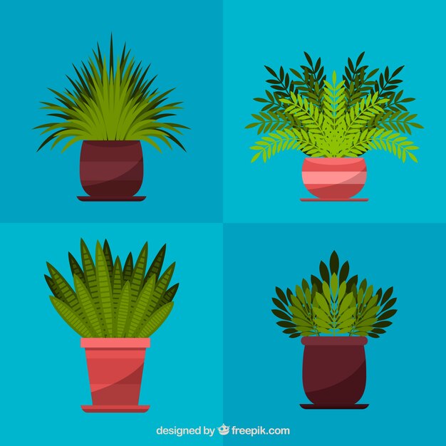 Pack of four pots with decorative plants