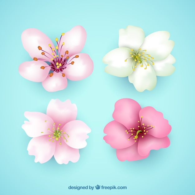 Free vector pack of four pretty flowers in realistic style