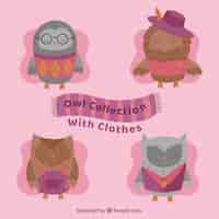 Free vector pack of four pretty owls with clothes