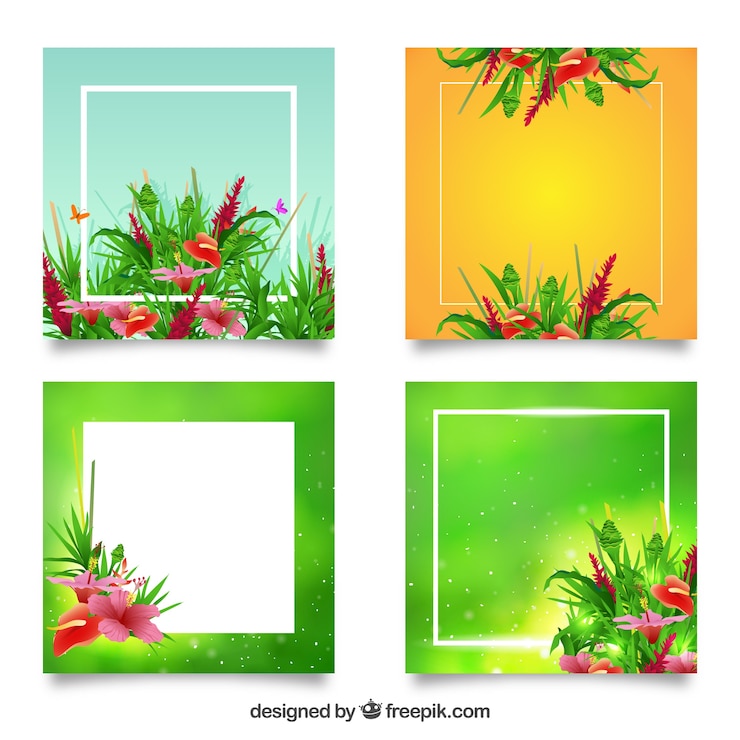 मुफ़्त वेक्टर pack of frames with floral decoration