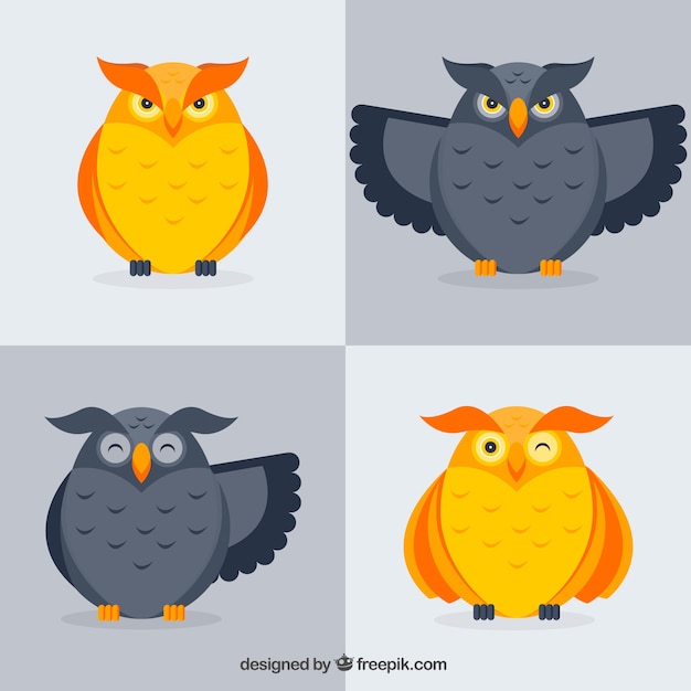 Free vector pack of gray and golden owls