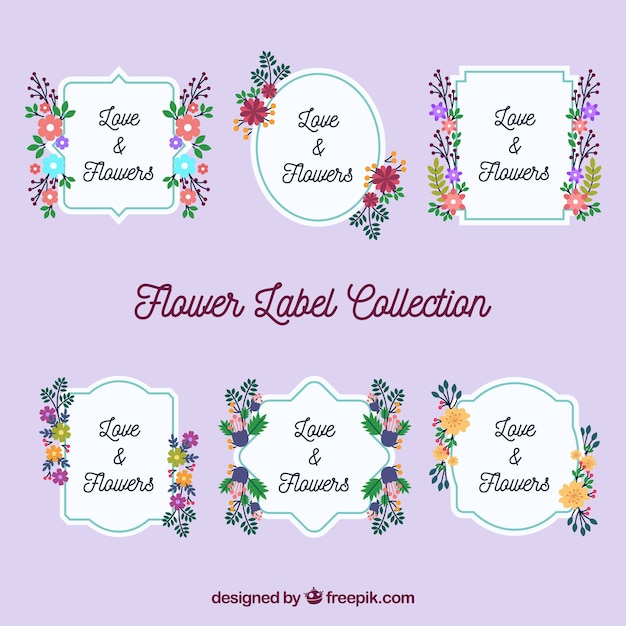 Free vector pack of great labels with pretty flowers