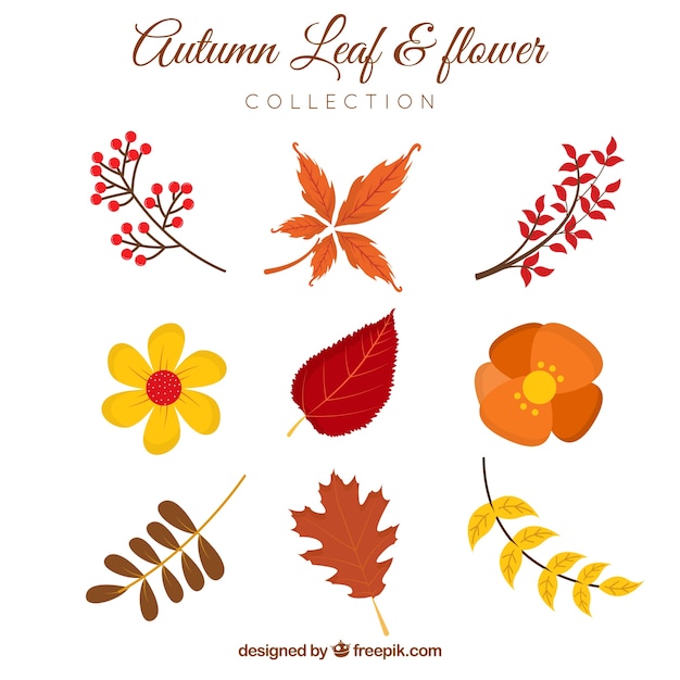 Free vector pack of hand drawn autumn leaves