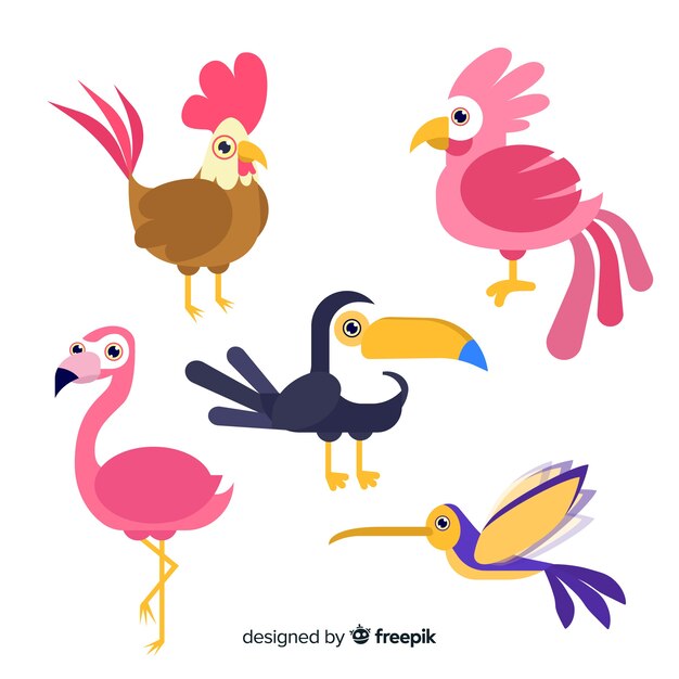 Pack of hand drawn birds