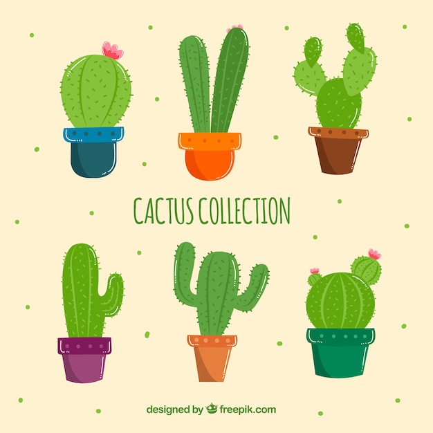 Hand Drawn Cactus Design Vector Download