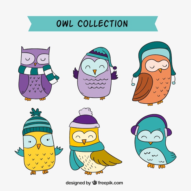 Free vector pack of hand drawn colored owls