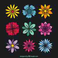 Free vector pack of hand-drawn colorful flowers