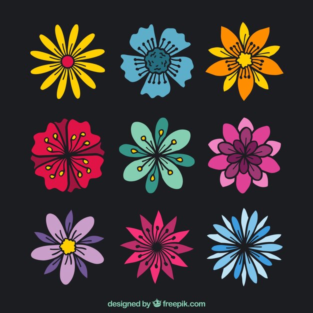 Pack of hand-drawn colorful flowers