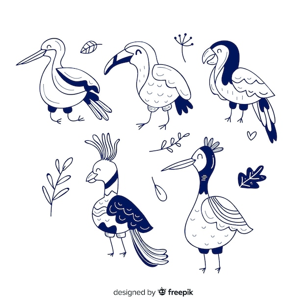 Free vector pack of hand drawn exotic birds