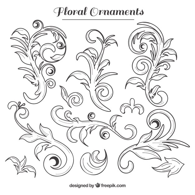 Pack of hand drawn floral ornaments