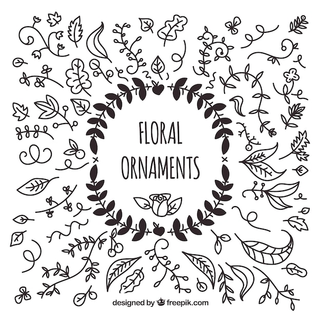 Free vector pack of hand drawn floral ornaments